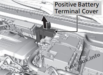 Acura RDX Sicherungskasten im Motorraum Sicherungsdiagramm