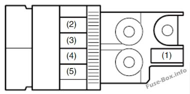 Fiat Sedici Sicherungsdiagramm