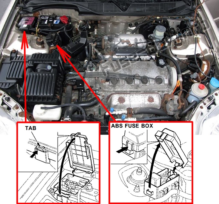 Lage der Sicherungen im Motorraum: Honda Civic (1996-2000)