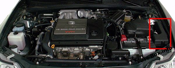 Lage der Sicherungen im Motorraum: Toyota Avalon (2000-2004)
