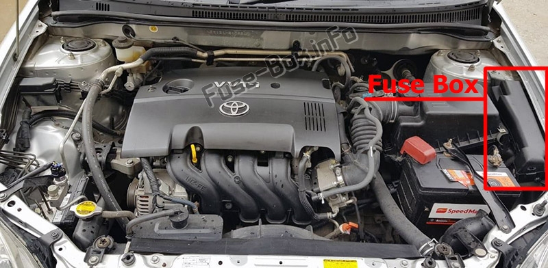 Lage der Sicherungen im Motorraum: Toyota Corolla (2003-2008)